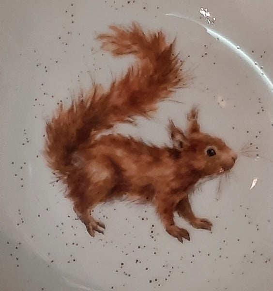 WN4078 Squirrel cereal bowl