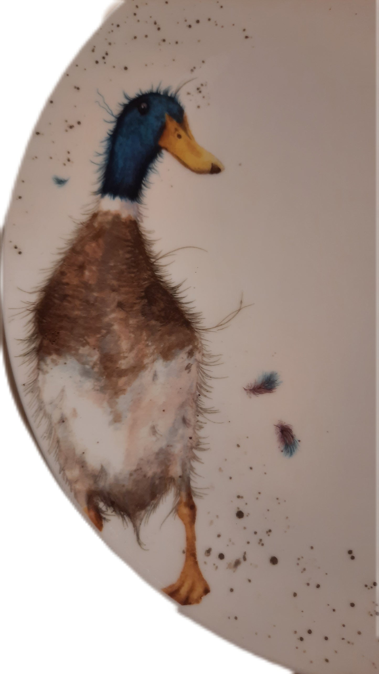 WN-4077 Speiseteller mit Ente