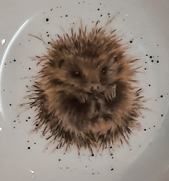 WNB4078 Müslischale Igel