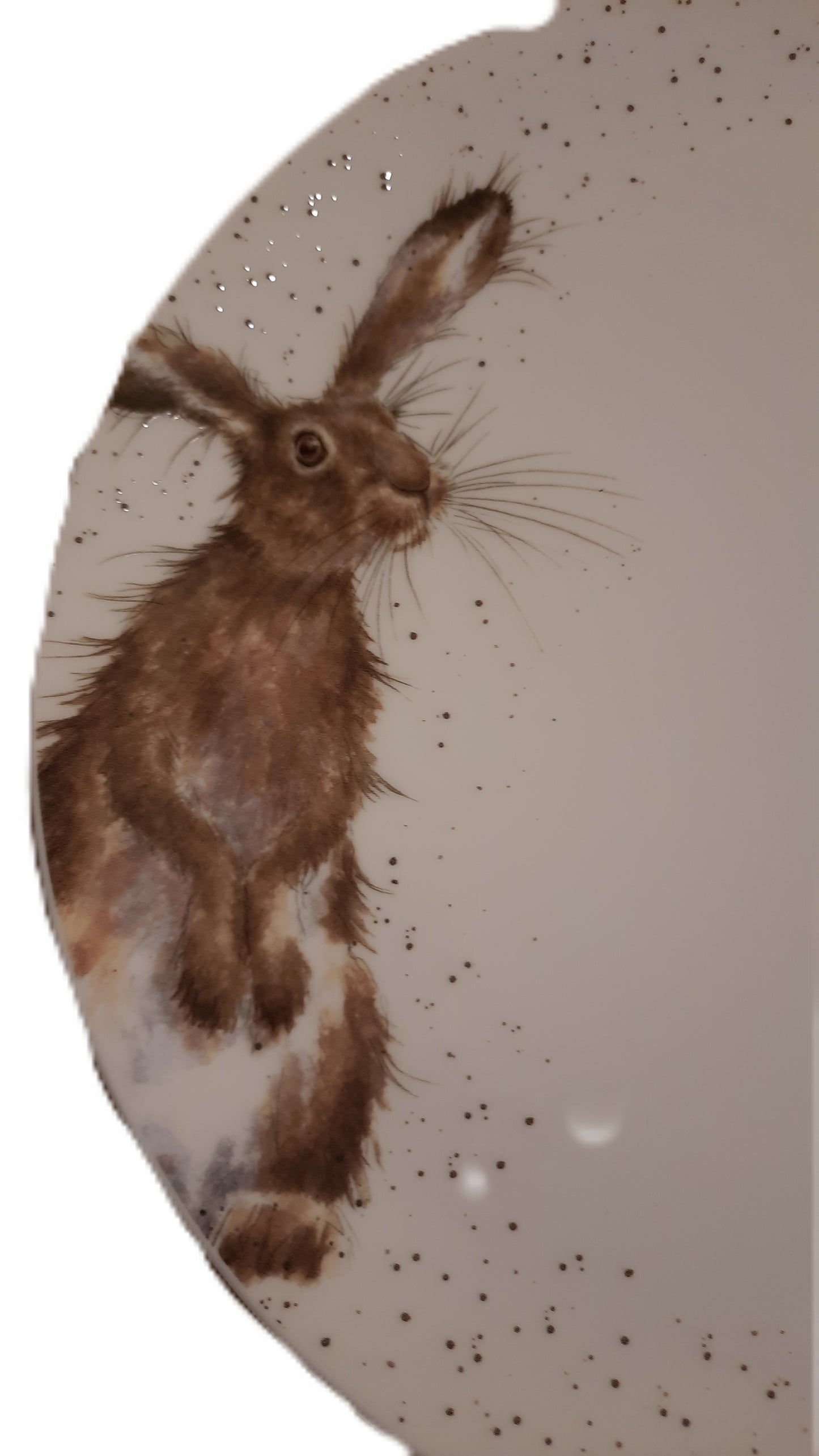 WN-4077-Speisenteller mit Hase