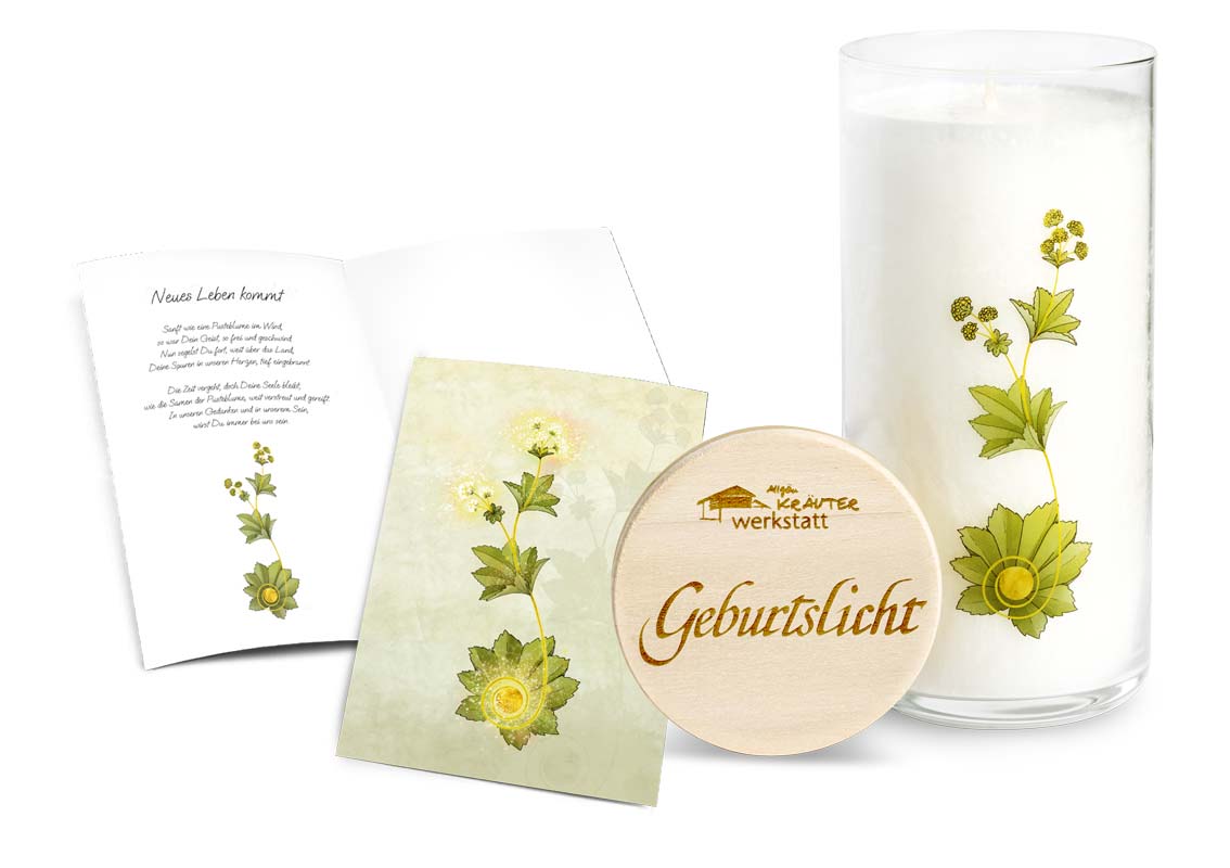 Candela alle erbe in vaso