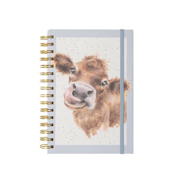 HB019 Notizbuch 'Mooo' Kuh