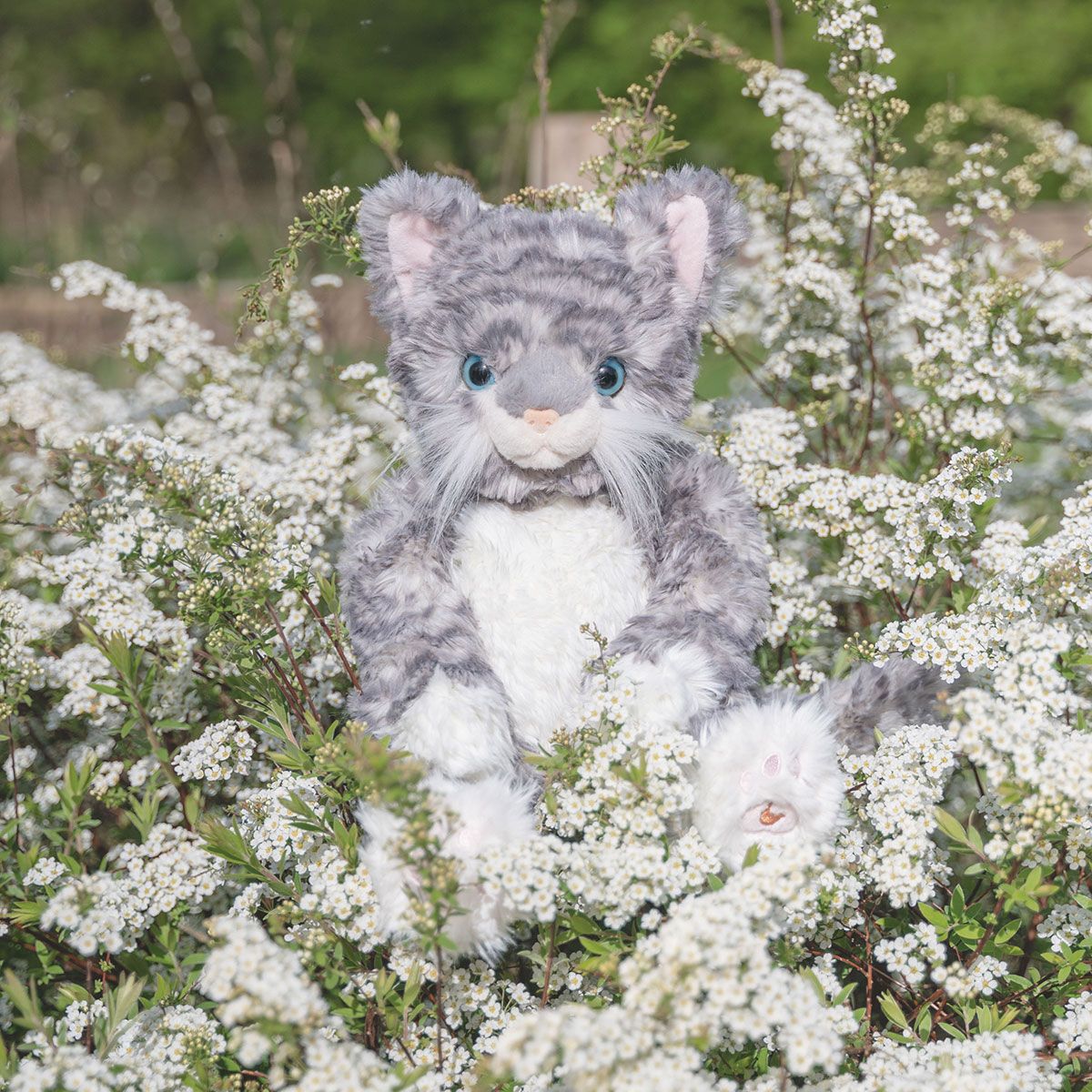 PLUSHM014 Esmeralda' cat character Junior – Rohn Shop