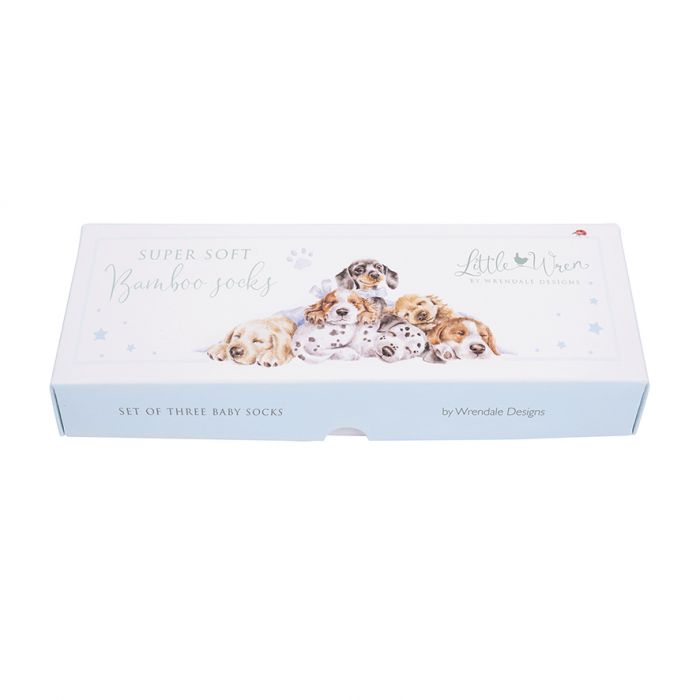 SOCK004 Hundesocken 'Little Paws' Baby-Socken