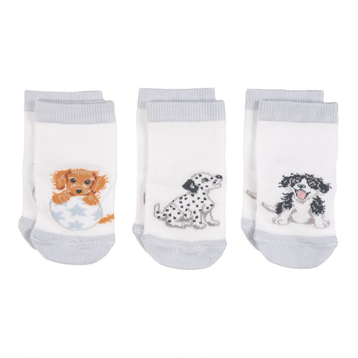 SOCK004 Hundesocken 'Little Paws' Baby-Socken